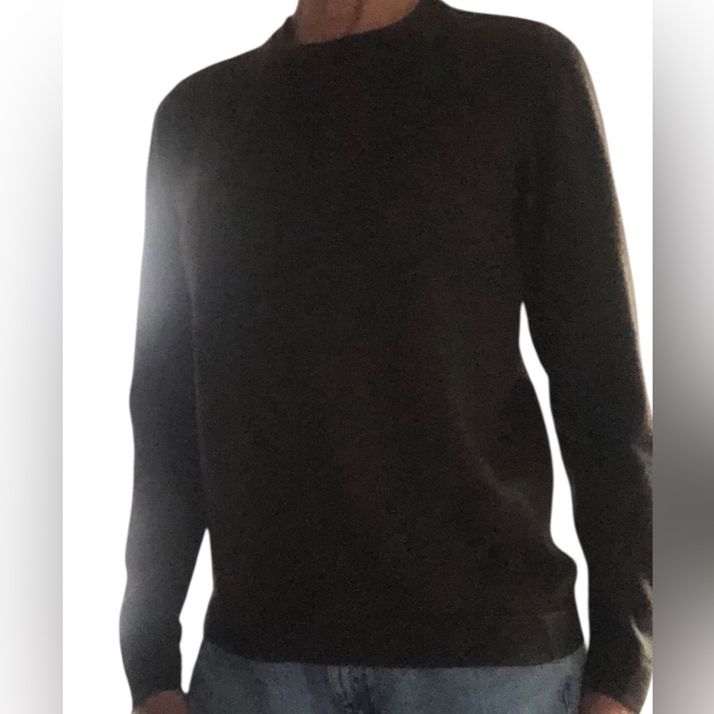Frank & Oak 100% Merino wool crew neck sweater